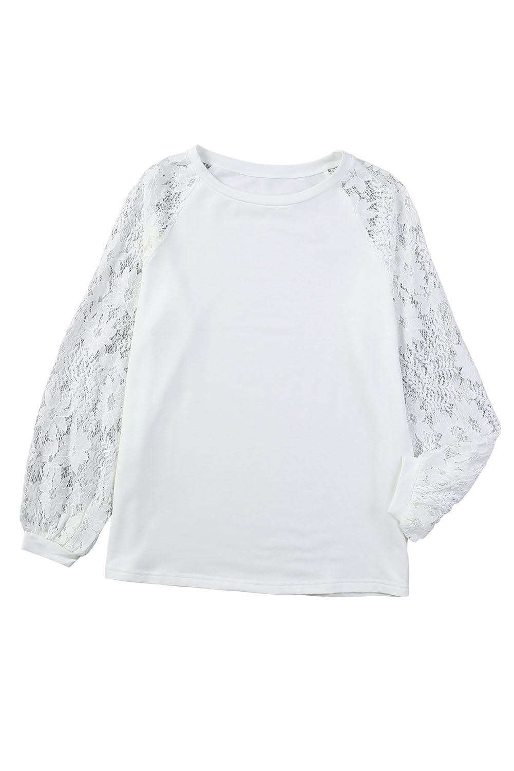 Lace Crochet Long Sleeve Top