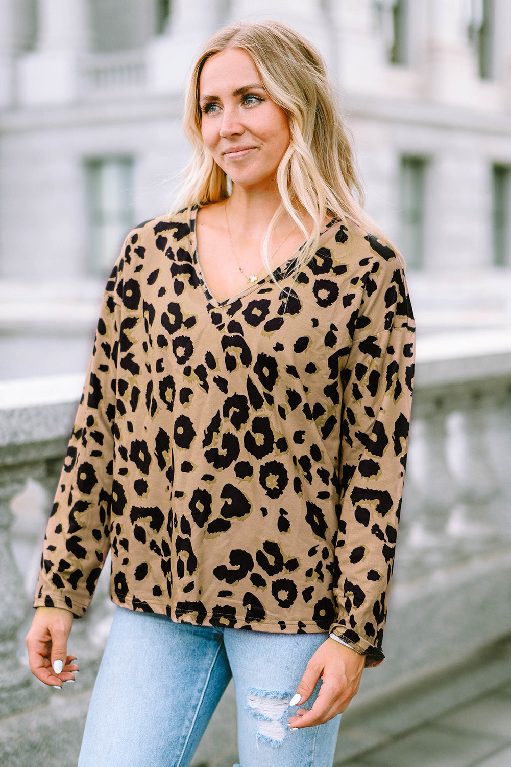 Leopard Split Joint V Neck Long Sleeve Top