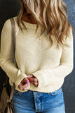 Raglan Sleeve Crewneck Casual Sweater