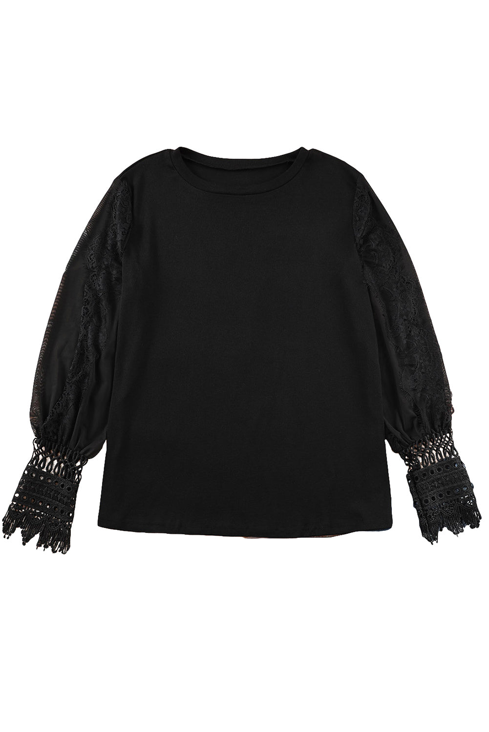 Sheer Lace Mesh Bishop Sleeve Top