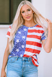 American Flag Print Distressed Crew Neck T Shirt