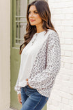 Splicing Dolman Sleeve Contrast Henley Top