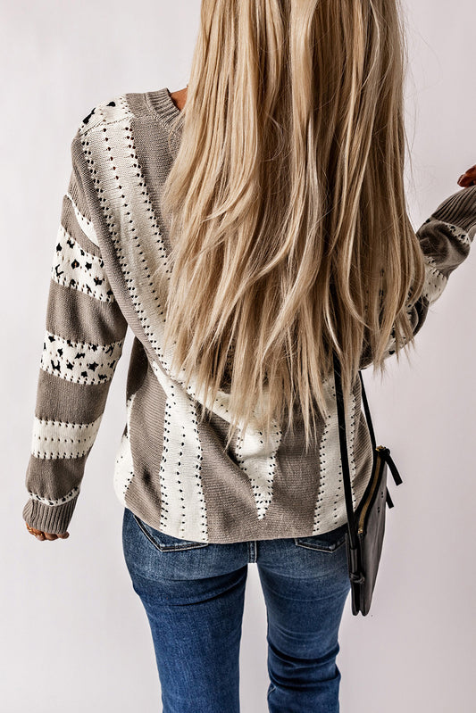 Animal Print Accent V Neck Sweater