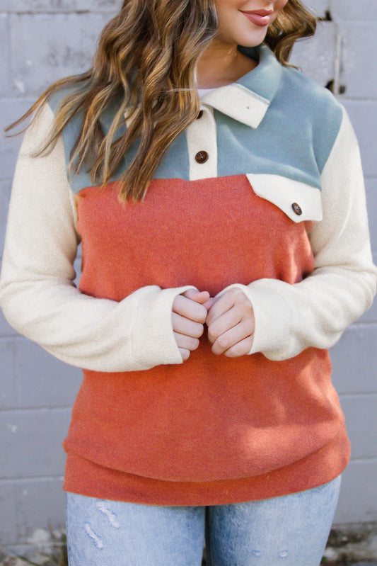 Buttoned Color Block Long Sleeve Top