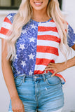 American Flag Print Distressed Crew Neck T Shirt