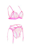 3pcs Embroidered Sheer Mesh Garter Lingerie Set