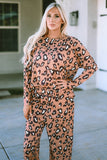 Leopard Print Long Sleeve Pullover and Pants Outfit