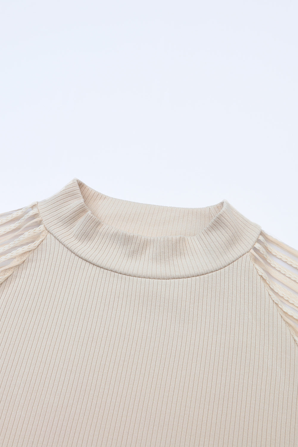 Striped Mesh Long Sleeve Crewneck Ribbed Top