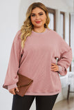 Pink Solid Ribbed Knit Round Neck Pullover Sweatshirt