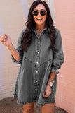 Buttoned Long Sleeve Denim Mini Dress