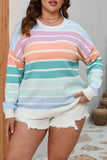 Striped Crewneck Plus Size Sweater